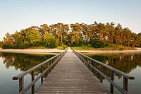 Brücke zur Insel Henschotermeer in der Abendsonne