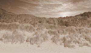 Zeeland