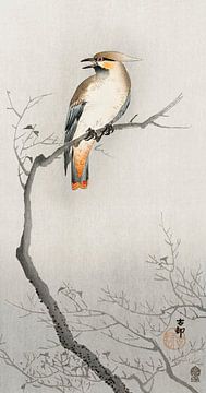 Japanese plague bird on branch (1900 - 1910) by Ohara Koson van Studio POPPY