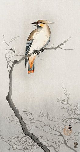 Japanese plague bird on branch (1900 - 1910) by Ohara Koson