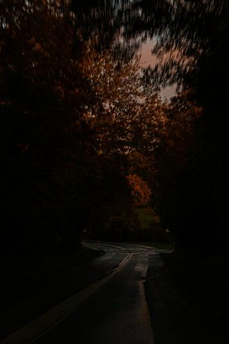 Herbstfarben entlang der Straße