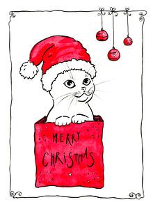 Merry Christmas cute cat