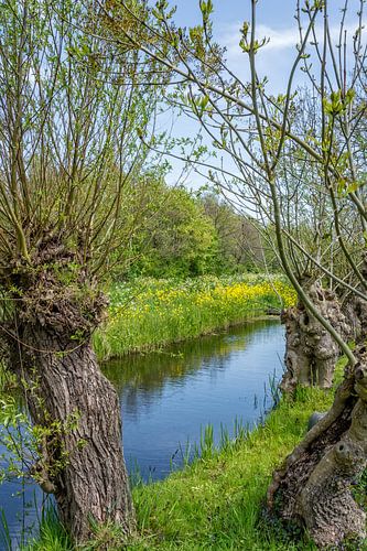 holländische Polder