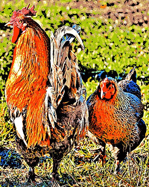 Coq et poule mixed media par Werner Lehmann