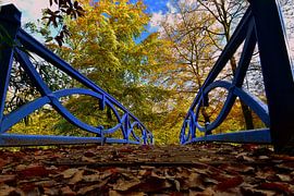 Autumn von Patrick Hartog