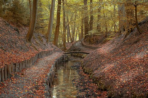 Bosbeek in de herfst, Beekhuizen, Nederland
