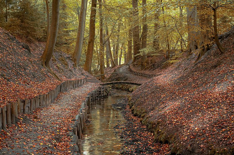 Bosbeek in de herfst, Beekhuizen, Nederland van Koos SOHNS   (KoSoZu-Photography)