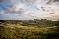 Typical Dutch Dune landscape