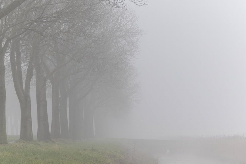 Fog by Marieke Deinum
