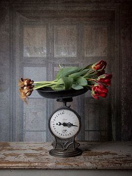 The weight of beauty by Iris van Heusden