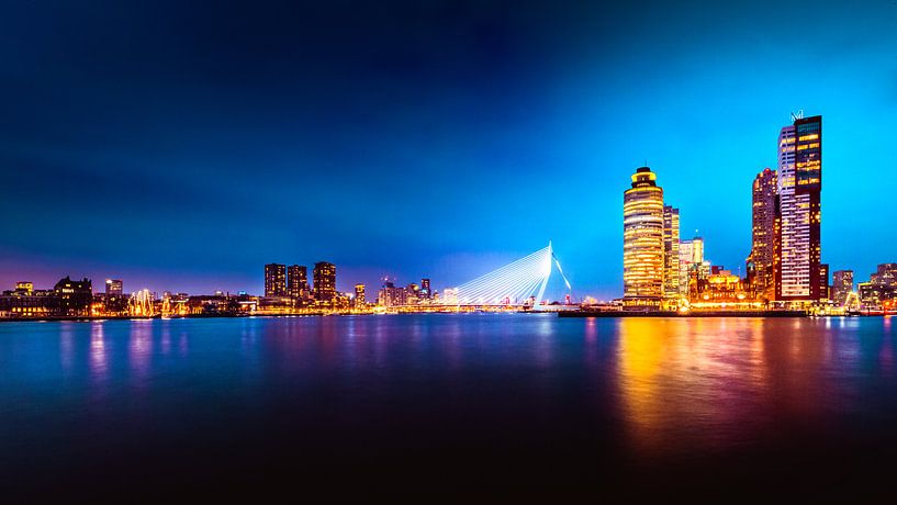 Rotterdam Skyline Erasmus Bridge by Lesley Gudders