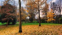 Gouden herfstbomen in park van Digital Art Nederland thumbnail