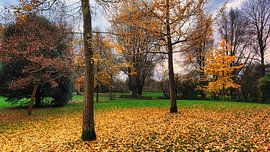 Golden autumn trees in park by Digital Art Nederland