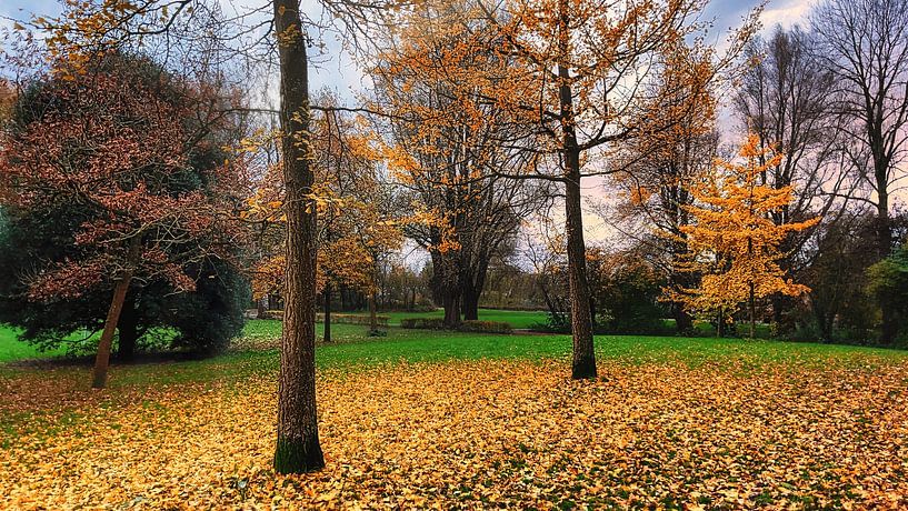 Arbres dorés d'automne dans un parc par Digital Art Nederland