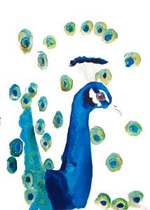 Vogelillustration des Pfaus spezielle