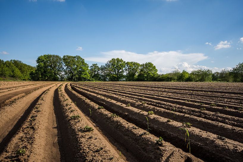 landbouw leven van Bart Liesenborgs
