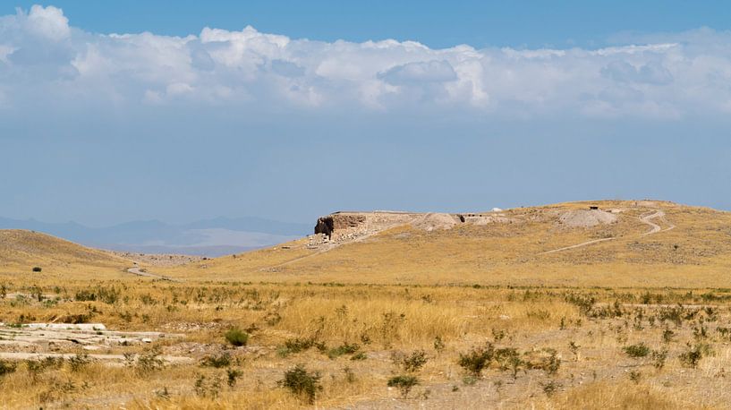 Iran: Pasargadae by Maarten Verhees