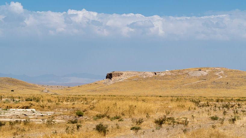 Iran: Pasargadae van Maarten Verhees