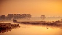 ruhiger Sonnenaufgang an der Regge