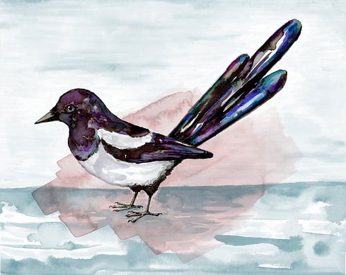 Ekster aquareltekening van Bianca Wisseloo