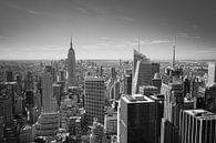 Wolkenkrabbers in New York van Sander van Leeuwen thumbnail