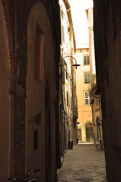 Tuscany Italy Lucca Downtown Old