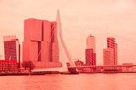 Rotterdam - Erasmusbrug en omgeving - in rode tinten van Ineke Duijzer thumbnail