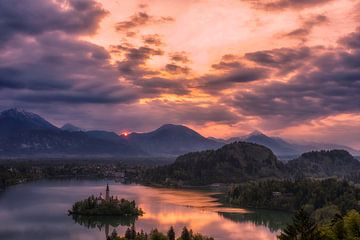 More from Bled by Els van Dongen