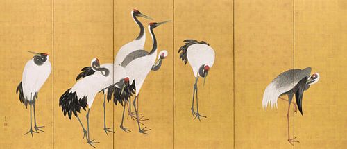 Kraanvogels, Maruyama Ōkyo