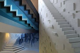 tous les coups de pied sur Egon Zitter