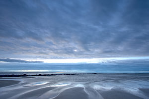 Blauwe uurtje aan de Noordzee kust