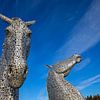 The Kelpies, The Helix, Falkirk, Schottland, UK von Arch White