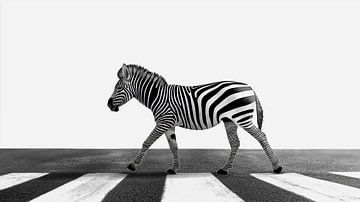 Zebrapaden als symbool van stedelijke wildernis van Frank Heinz