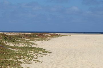 Strand en Duin Afrika van Debby Frijn