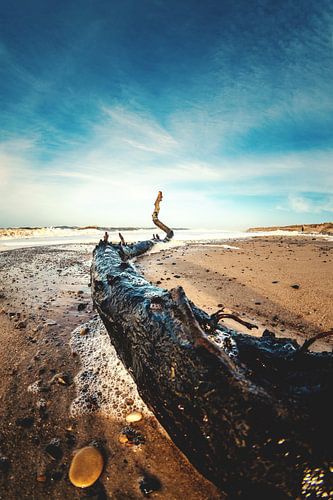 Strundgut in Denemarken