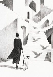 De hond wijst de weg