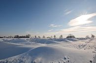 Sneeuwjacht bij Neukamp, Putbus, eiland Rügen van GH Foto & Artdesign thumbnail
