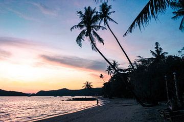 Sunset on a tropical island von Suzanne Schuringa