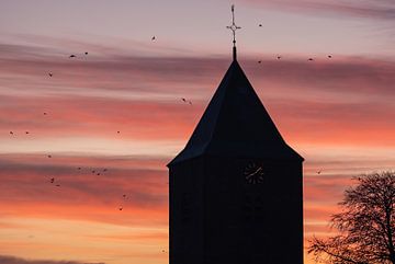 vogels bij de toren van Tania Perneel