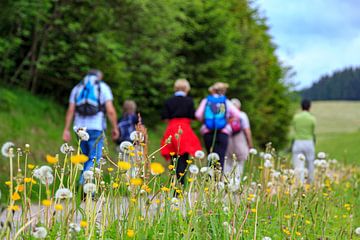 Westweg Hikers in the Black Forest by resuimages