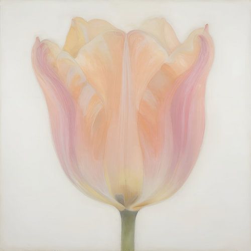 Tulip in delicate pastel shades