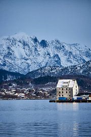 Ålesund with the Sunnmøre Alps in the background, Norway by qtx