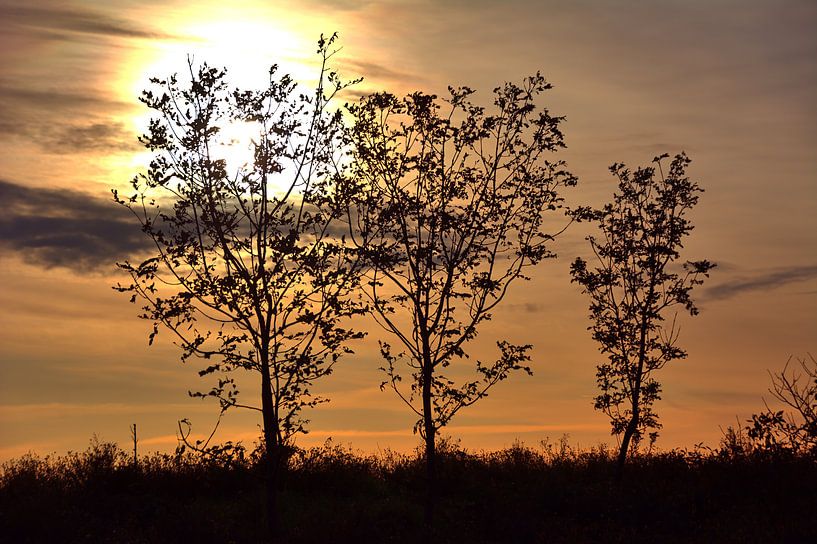 zonnestruik van Edgar Schermaul