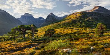 Wild Norway by Rainer Mirau