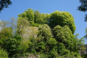 Heilig Geist Zitadelle, Luxemburg