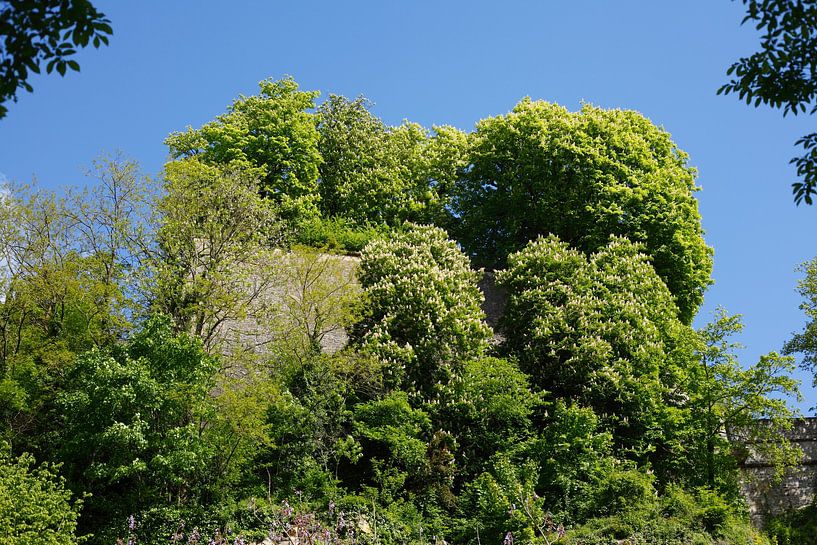 Citadelle du Saint-Esprit, Luxembourg par Torsten Krüger