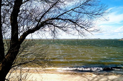 Zee uitzicht vanaf het strand