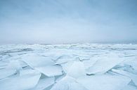Kruiend ijs in winters landschap (Nederland) van Marcel Kerdijk thumbnail