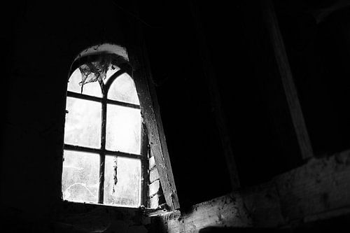 Oude stal raam vol spinnenwebben | Nederland | Straatfotografie