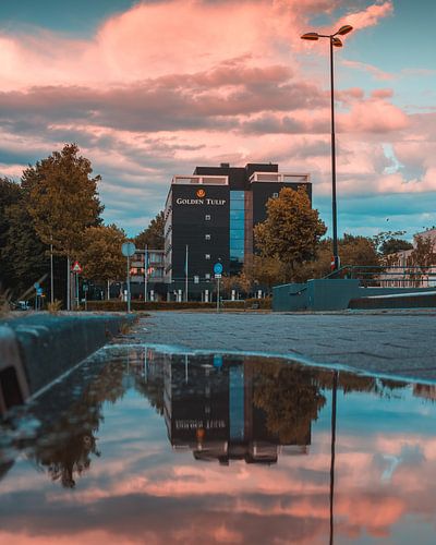 Tulipe d'or Zoetermeer